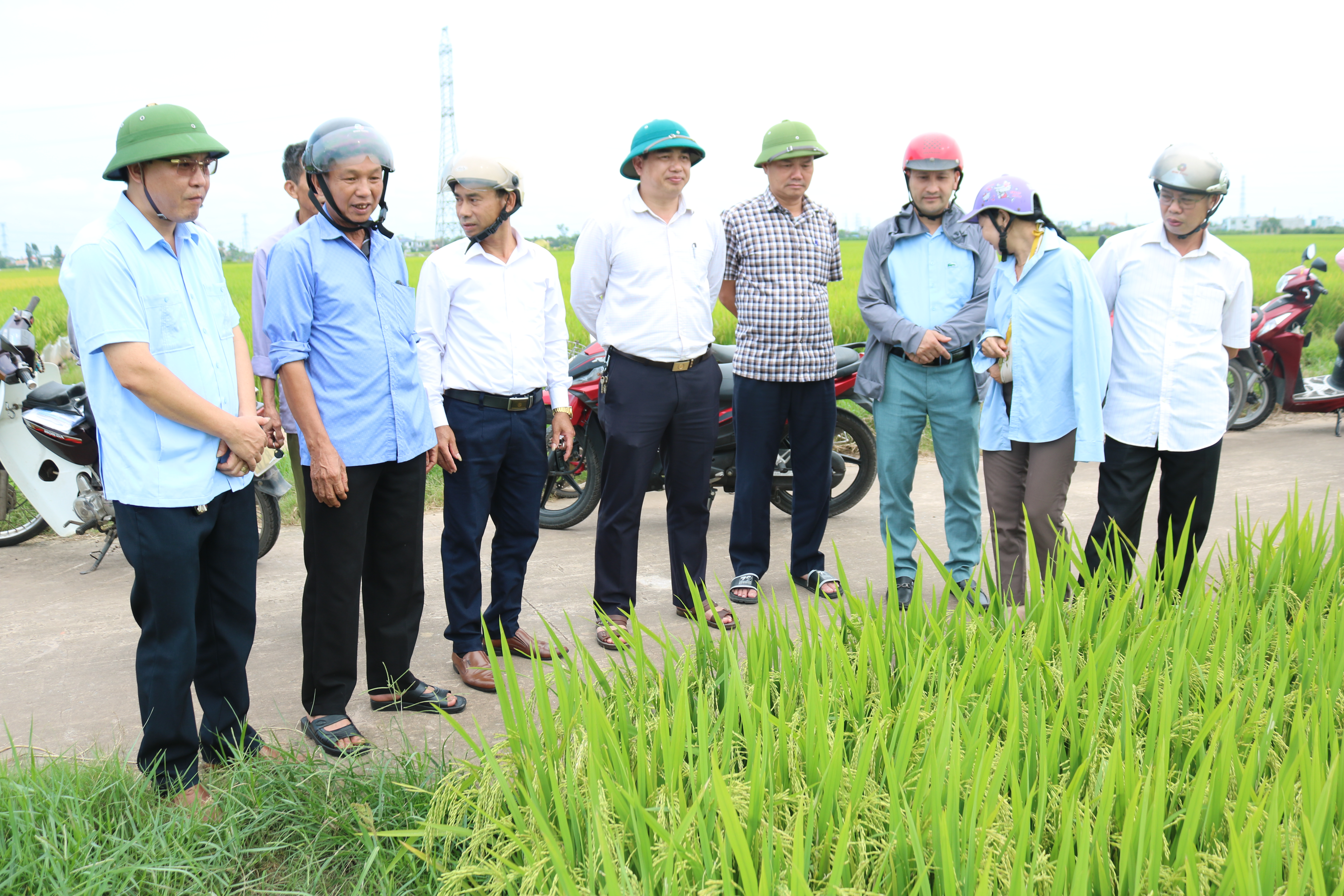 Lãnh đạo xã Vạn Xuân kiểm tra tình hình sản xuất và hệ thống kênh mương thủy lợi nội đồng